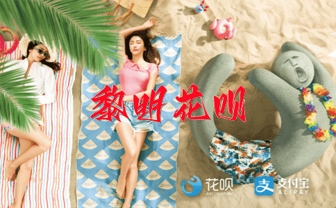 沧海一粟花呗